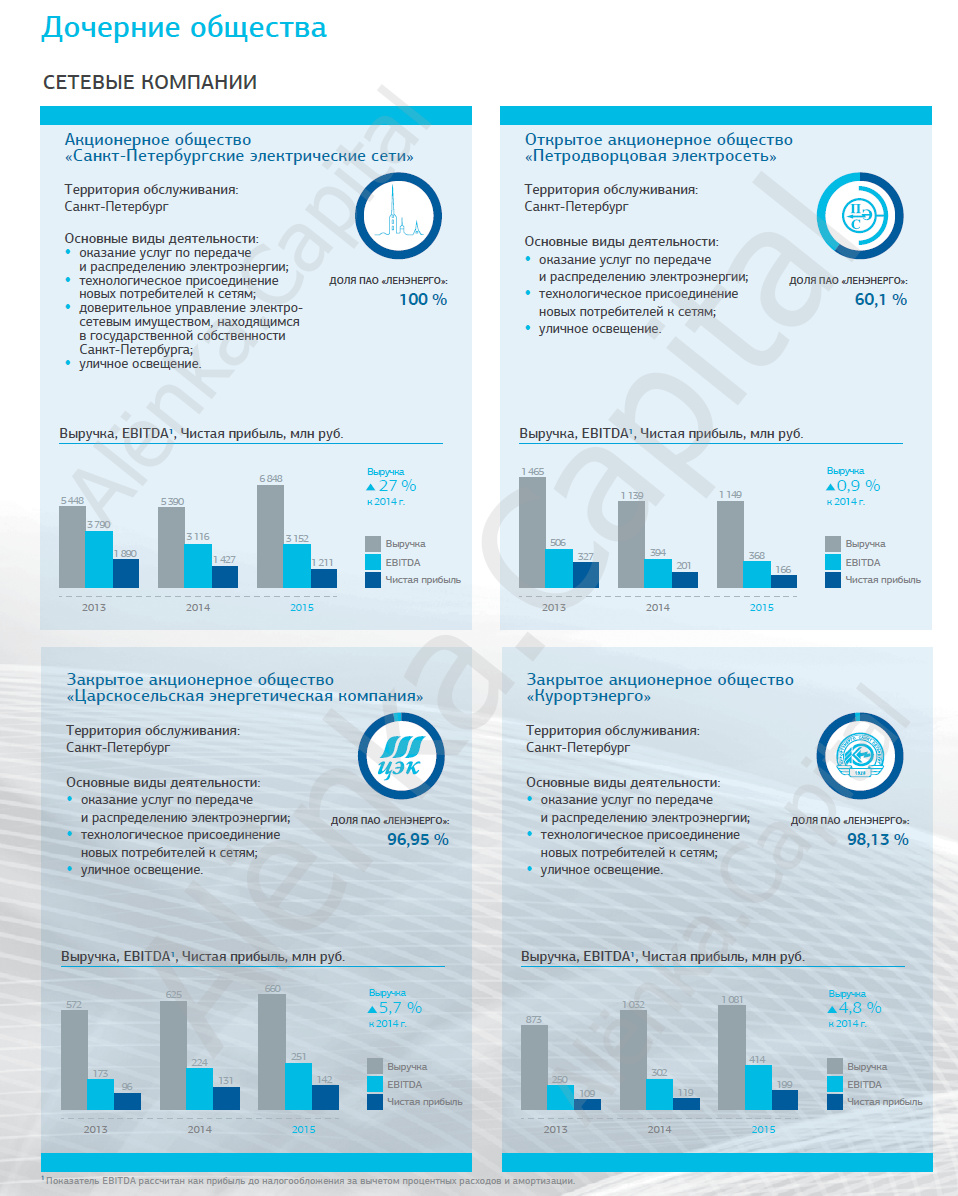 Ленэнерго крупнейшие дочки 2015|958x1196